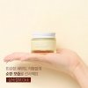 Крем для лица A'pieu 10 Oil Soak Cream