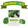 Тканевая маска A'Pieu My Skin-Fit Sheet Mask Broccoli