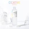 Тонер для лица A'Pieu Cicative Boosting Toner
