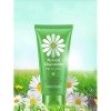 Пенка для умывания BioAqua Natural Chamomile Clean Skin Smooth Hydra Skin Care Cleanser