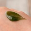 Маска-скраб для лица Innisfree Capsule Recipe Pack - Seaweed
