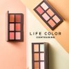 Консилер для лица It's Skin Life Color Palette - Contouring