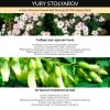 Экстракт корня женьшеня Yury Stolyarov 6-Year Premium Korean Red Ginseng (30 стиков)