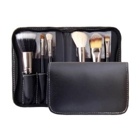 Набор кистей Limoni Pro Style Compact