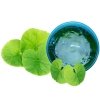 Гель с центеллой азиатской MBL Centella Cica Soothing Gel 97%