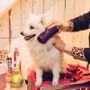 Расческа для собак Pet Teezer De-shedding & Dog Grooming Brush Purple & Grey