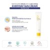 Солнцезащитный крем для лица Ph.Drop Everyday Sun Cream