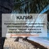 Кокос сушеный ломтиками ПРО100 ФРУКТЫ (500 г)