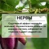 Маракуйя сушеная ПРО100 ФРУКТЫ (500 г)