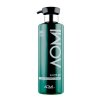 Шампунь для волос AOMI Green Tea Extract Shampoo