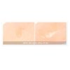 Сыворотка для лица Scinic Peptide Ampoule 95