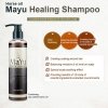 Шампунь для волос Secret Key MAYU Healing Shampoo