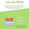Крем для лица Secret Nature From Jeju Cream