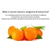 Сыворотка для лица Secret Nature Mandarine Honey Whitening Moisturizing Serum