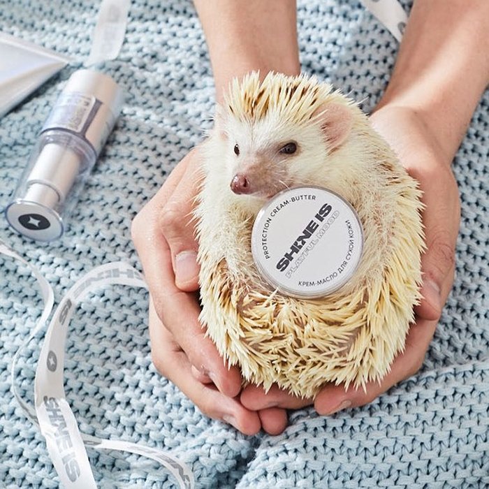 Крем для лица и тела Shine is Protection Cream-Butter