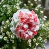 Мочалка для душа Sungbo Cleamy Flower Shower Ball