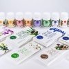 Сыворотка для лица Таволга - Лимус и комплекс омолаживающих экстрактов