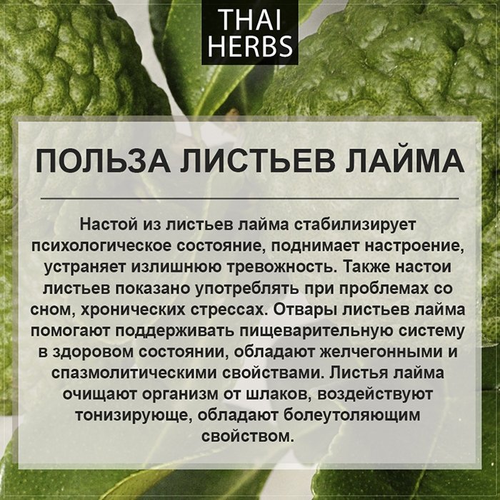 Сушеные листья каффир-лайма Thai Herbs (50 г)