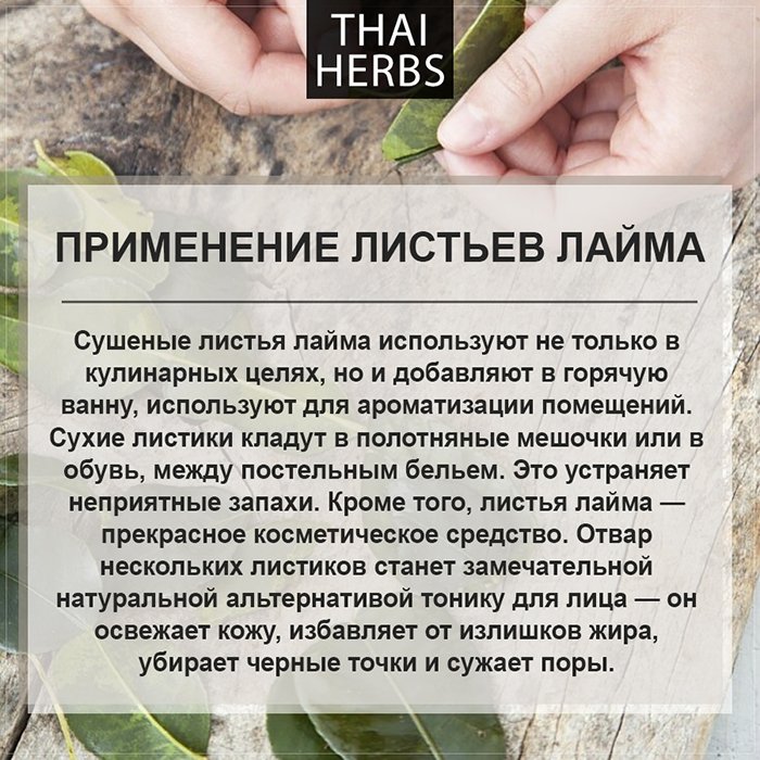 Сушеные листья каффир-лайма Thai Herbs (50 г)