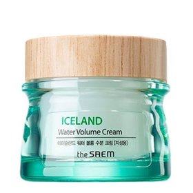 Крем для лица The Saem Iceland Water Volume Hydrating Cream - Oily Skin