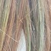 Воск для волос The Saem Silk Hair Style Fix Color Wax - Green Kahki