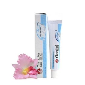 Зубная паста Twin Lotus Herbal Fresh & Cool (40 г)