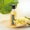 Шампунь для волос Whamisa Organic Seeds Shampoo Subacidity For Dry Scalp
